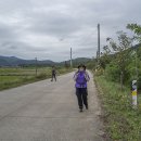 여강길(2코스 세물머리길) | 여강길 2코스 세물머리길(여강길 완주원정대 2일차)