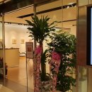 대백프라자 이미지