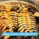 대진초등학교 병설유치원 이미지