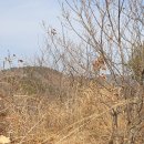 아영면 아곡마을 이미지