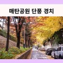 매탄공원 이미지