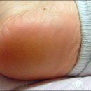 호정 주식회사 이미지