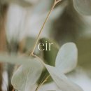 유등로669번길 이미지