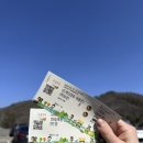 반려견동반강원도여행┃ 대관령 하늘목장 / 평창한우마을 대관령점/ 평창라마다호텔/ 대관령가마솥치킨(⭐)