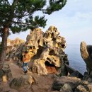 화진포 푸른펜션 | 반려견과 고성 바다 여행, 4곳 관광지 주차부터 팁까지