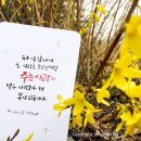 선한가르침