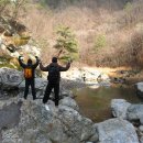 꿈꾸는유배지늡다리 이미지