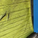 메디팜행복한약국 이미지