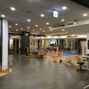 스파리스 이미지