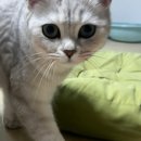 페츠온 동물병원 이미지