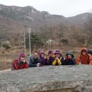 5코스 안내소 Daum카페
