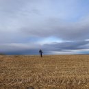 허수아비 이미지