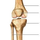 오운완 필라테스 앤 헬스 이미지