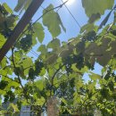 서율농장 이미지