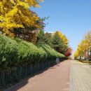 개포신원공인중개사사무소 이미지