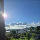 단하우스 이미지