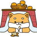 편하개 놀다가냥 이미지