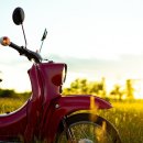 워시카랩 이미지