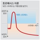 지나헤어클럽 | 제 1회 푸더바 만화 클럽 후기 - 오카자키 교코 <PINK>