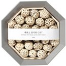 영진 GIFT