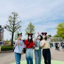 고양최강태권도장 이미지