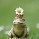 일본어 초급 이미지