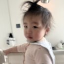 물애비 | 2026.04.14. 황마스 D+567. 마스맘 off. 마스애비 퇴원. 저녁에 부부술자리.. 남편 과음