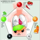 오장육부 Daum카페