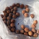 신한백산업개발