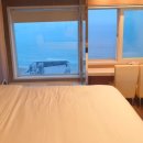 브라운도트사상르네시떼점 이미지