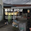 종달구경 | 제주도 동쪽 구좌읍 들르기 좋은 너무 예뻤던 와인샵_ 종달블랑