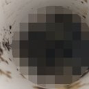 경남아너스빌아파트경로당 | 양주 변기냄새 하부 백시멘트 떨어짐 고장수리 장흥 경남아너스빌아파트 시공후기