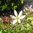 천주교하망동성당 이미지