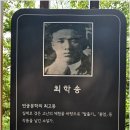 반올림피자망우