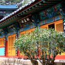 연제구-108 이미지