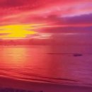 해아전기 이미지