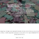 바벨탑 사건 속에 숨겨진 '천국의 비밀' / 하나님의 교회 어머니 하나님 이미지