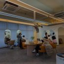 다옴헤어살롱 이미지