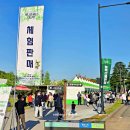 220 | 전남 담양 대나무축제 일정 기본정보 죽녹원 야간개장 후기 주차장