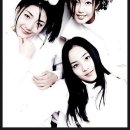 에스이에스 이미지