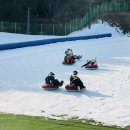 에덴관광농원 이미지