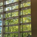 인앤박 번역행정사 사무소 이미지