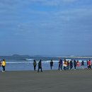 해송과 바다 이미지