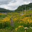 율하천자전거길 이미지