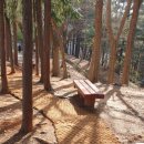 산정공원로 이미지