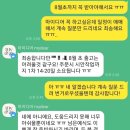 W) 청첩장 주문(바른손, 프리미어페이퍼, 마이디어, 베푸러) 할인쿠폰 적용 팁!
