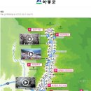 정금교 옆 이미지