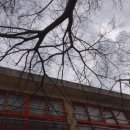 서탄초등학교내수분교 이미지