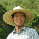 매실박사