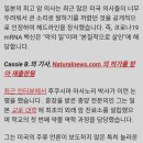 [일반] 미국 의사 꺼려한것을 일본 학자 살인백신 폭로 이미지